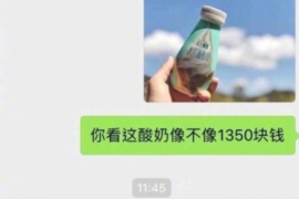 拉萨专业讨债公司，追讨消失的老赖